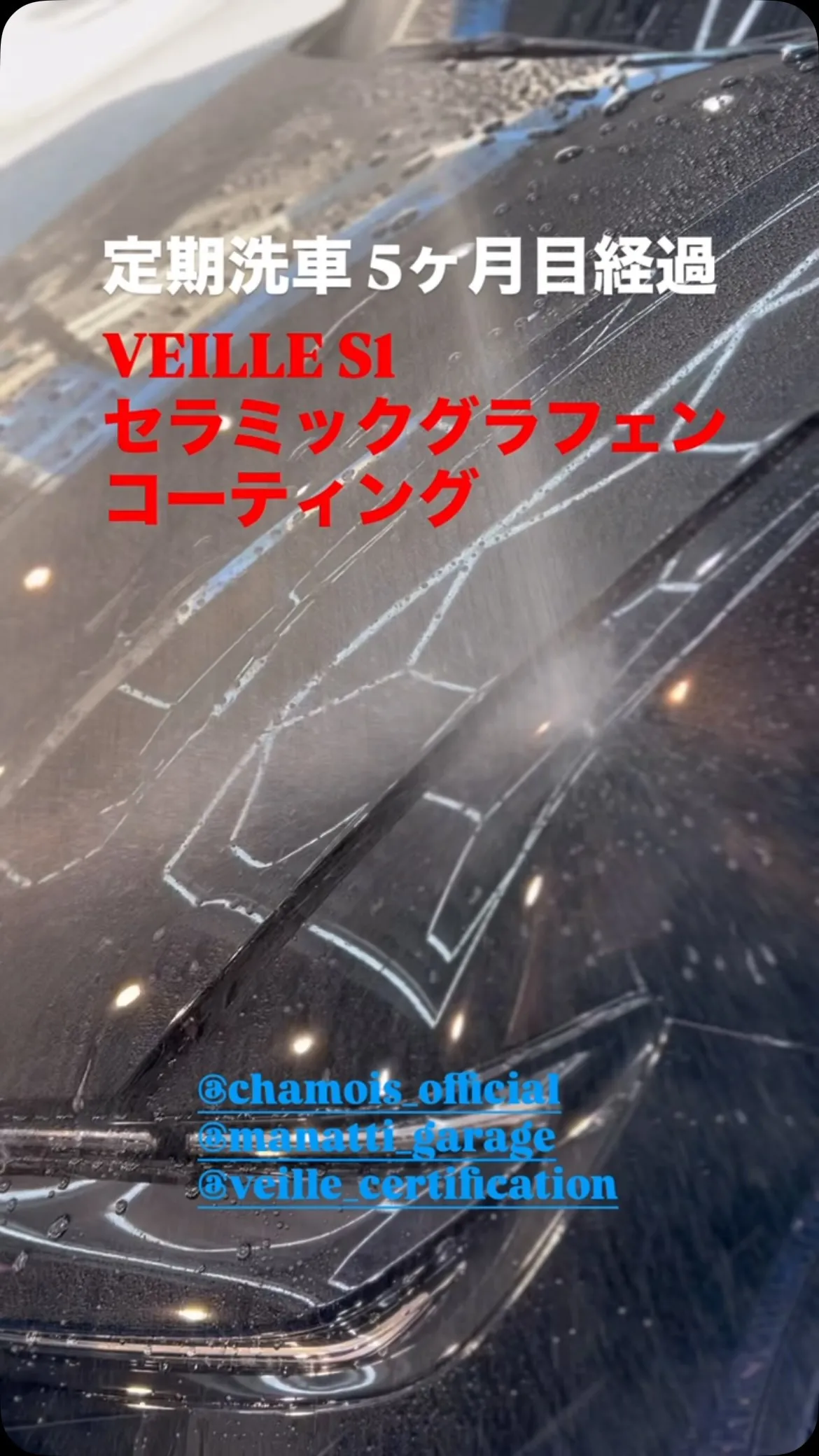 定期洗車